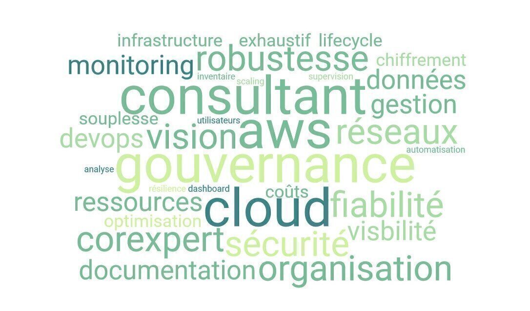 Audit cloud